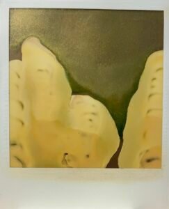 Elke Nord Polaroid Serie